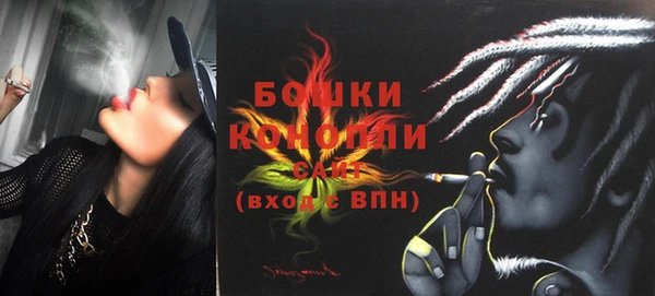 шишки Бронницы