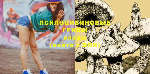 прущие крисы Бугульма