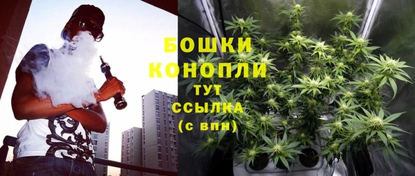 шишки Бронницы